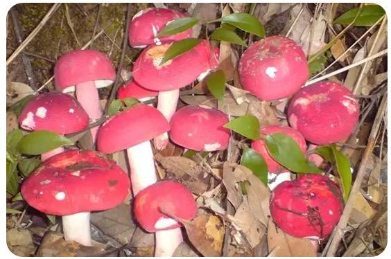 圖片關鍵詞 圖片關鍵詞