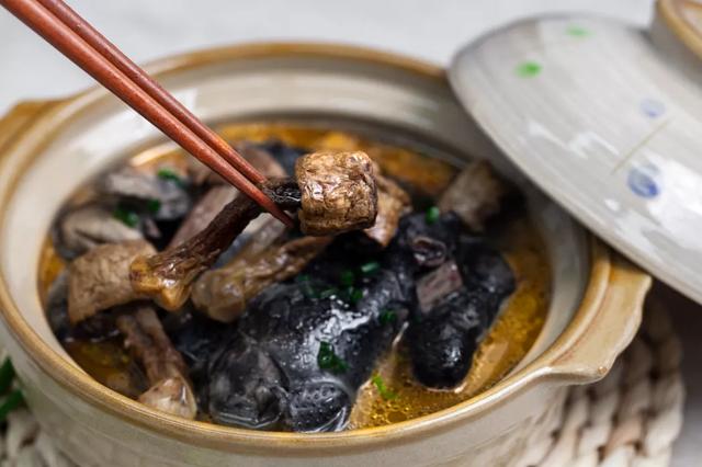 國家蘑菇地理：中國哪里的蘑菇最好吃？