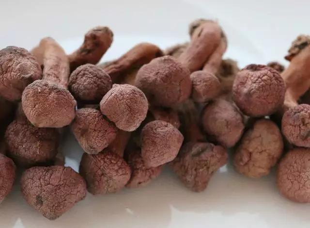 國家蘑菇地理：中國哪里的蘑菇最好吃？