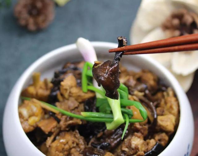 國家蘑菇地理：中國哪里的蘑菇最好吃？