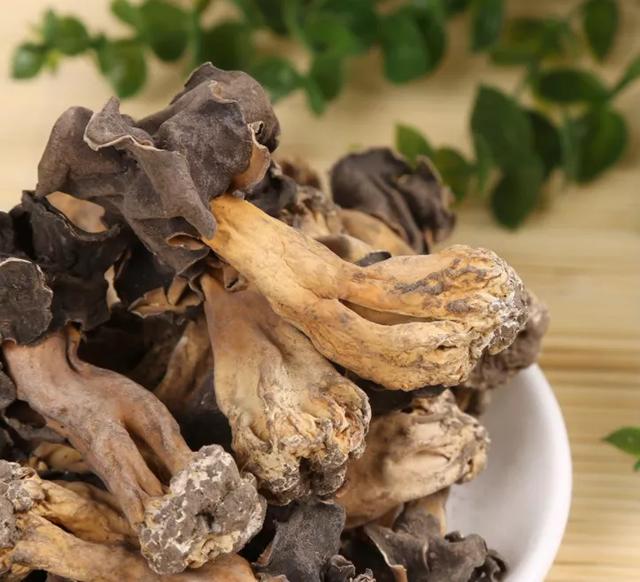 國家蘑菇地理：中國哪里的蘑菇最好吃？