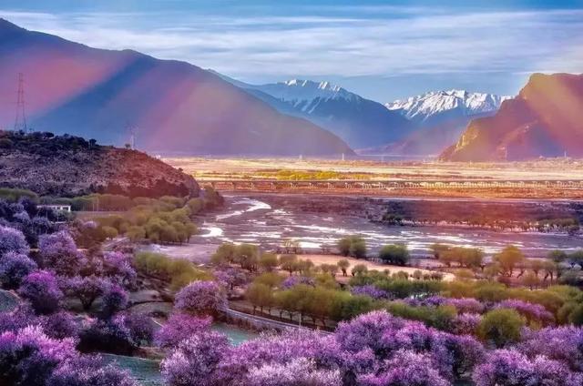 國家蘑菇地理：中國哪里的蘑菇最好吃？