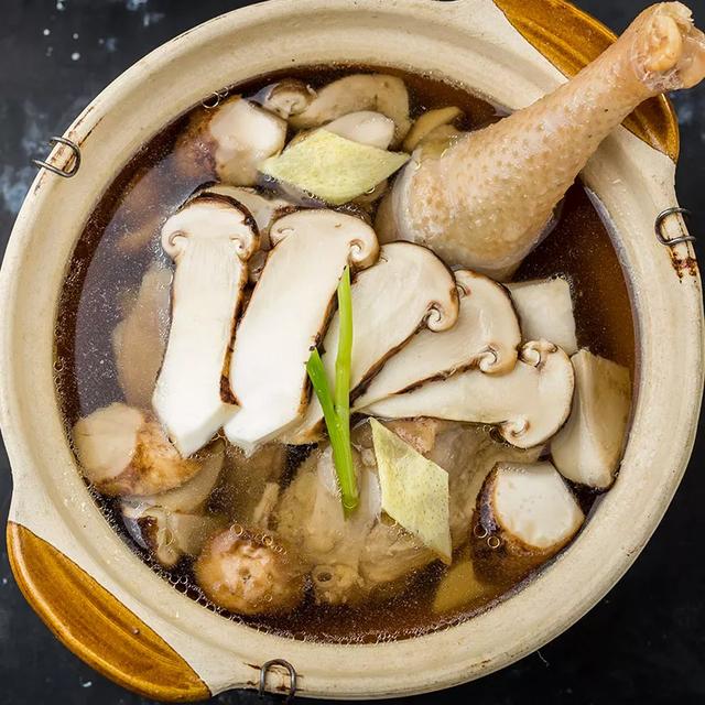 國家蘑菇地理：中國哪里的蘑菇最好吃？