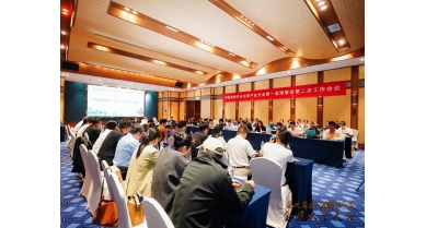 行業(yè)動(dòng)態(tài)