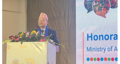 行業(yè)動態(tài)