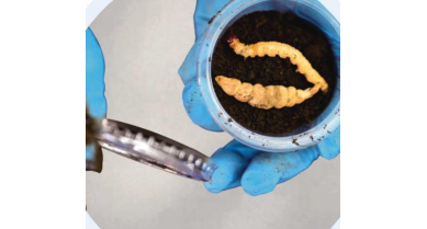 行業(yè)動態(tài)