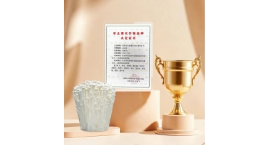 行業(yè)動態(tài)